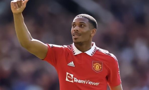 费德勒等老 费德勒等老